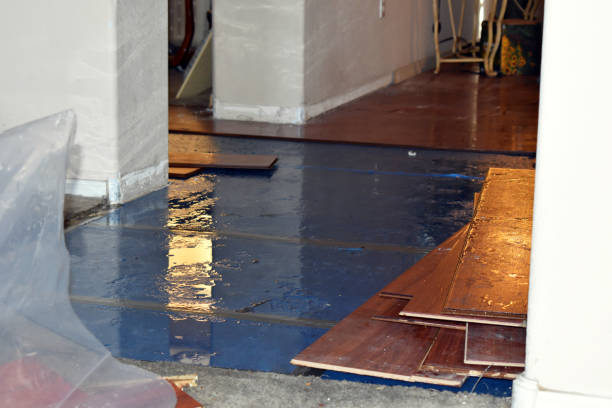 Professional Basement Flood Cleanup technician working in Cooleemee, NC